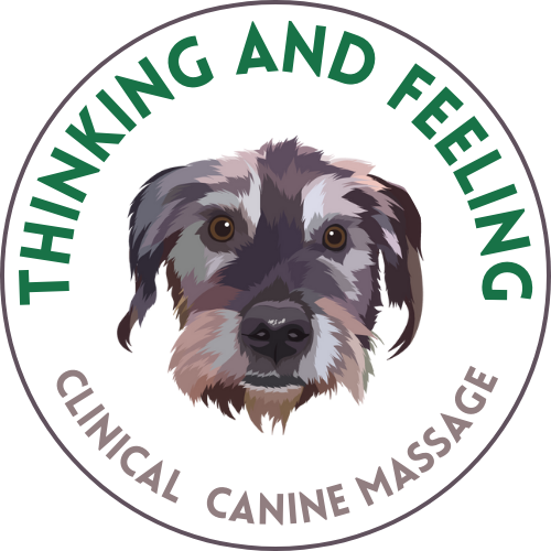 Thinking and Feeling Clinical Canine Massage